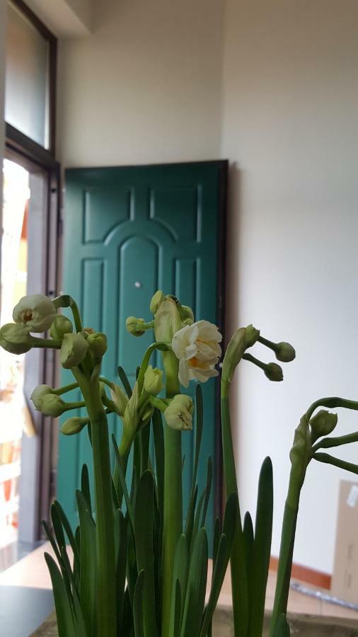 Il Giardino Sul Corso Apartment Scafati Exterior photo